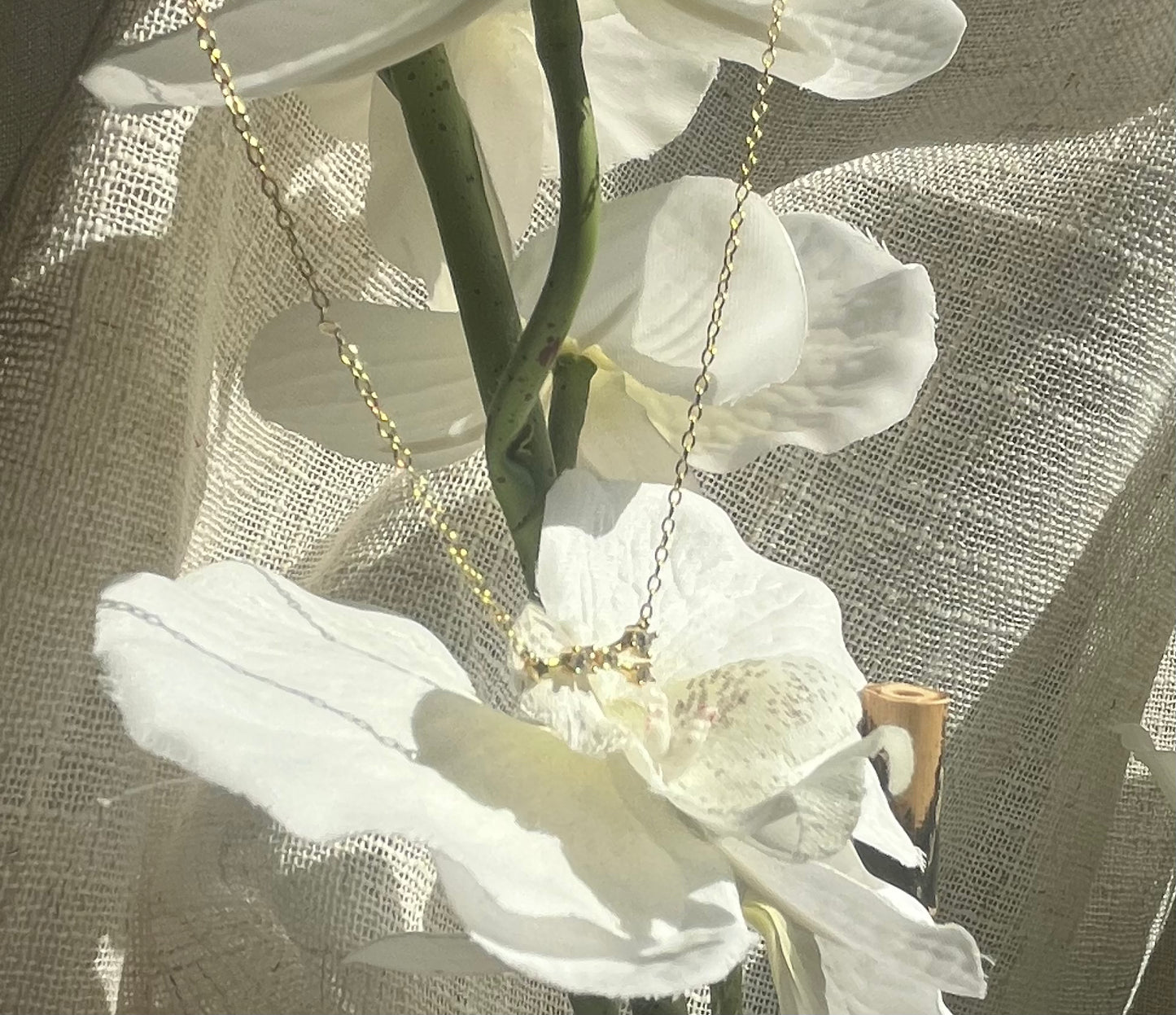 Gold Plated 925 Sterling Silver Zodiac Constellation Necklace