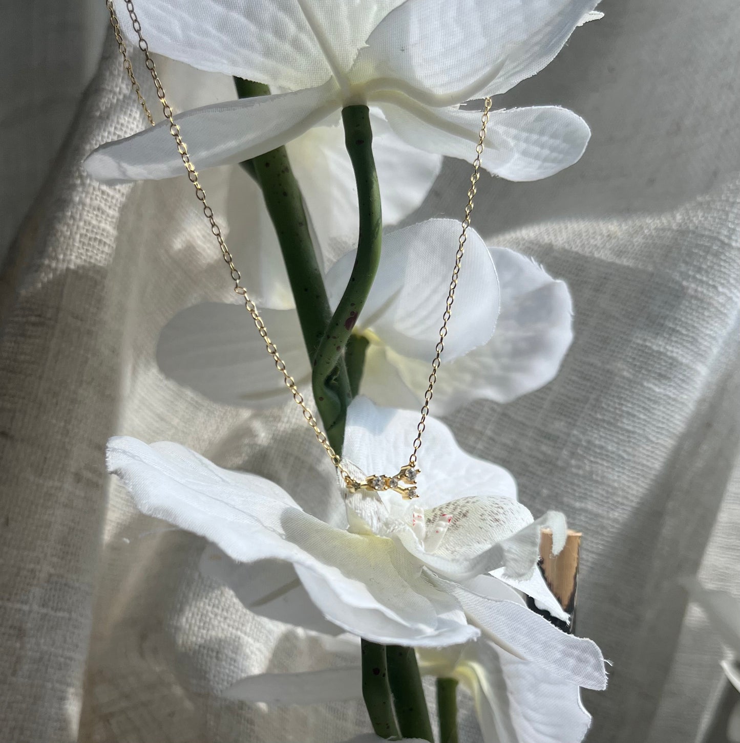 Gold Plated 925 Sterling Silver Zodiac Constellation Necklace