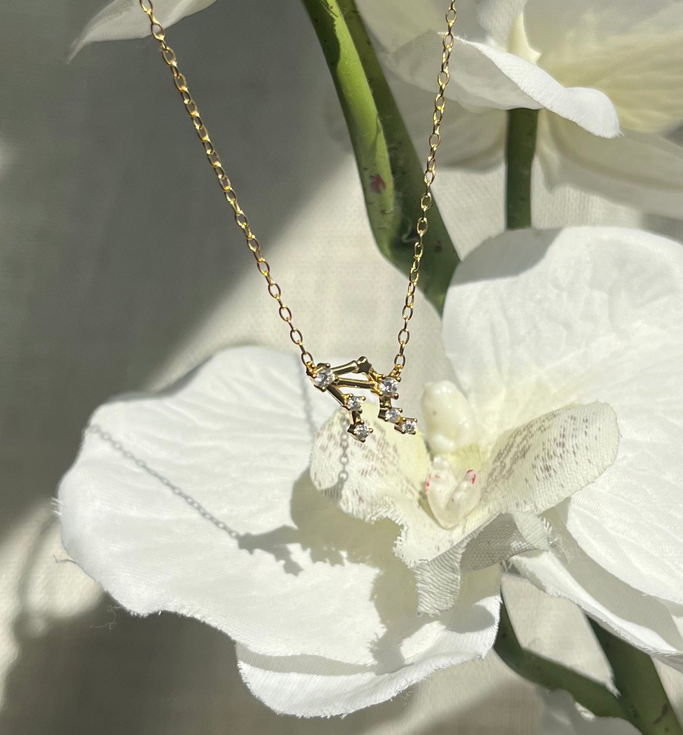 Gold Plated 925 Sterling Silver Zodiac Constellation Necklace
