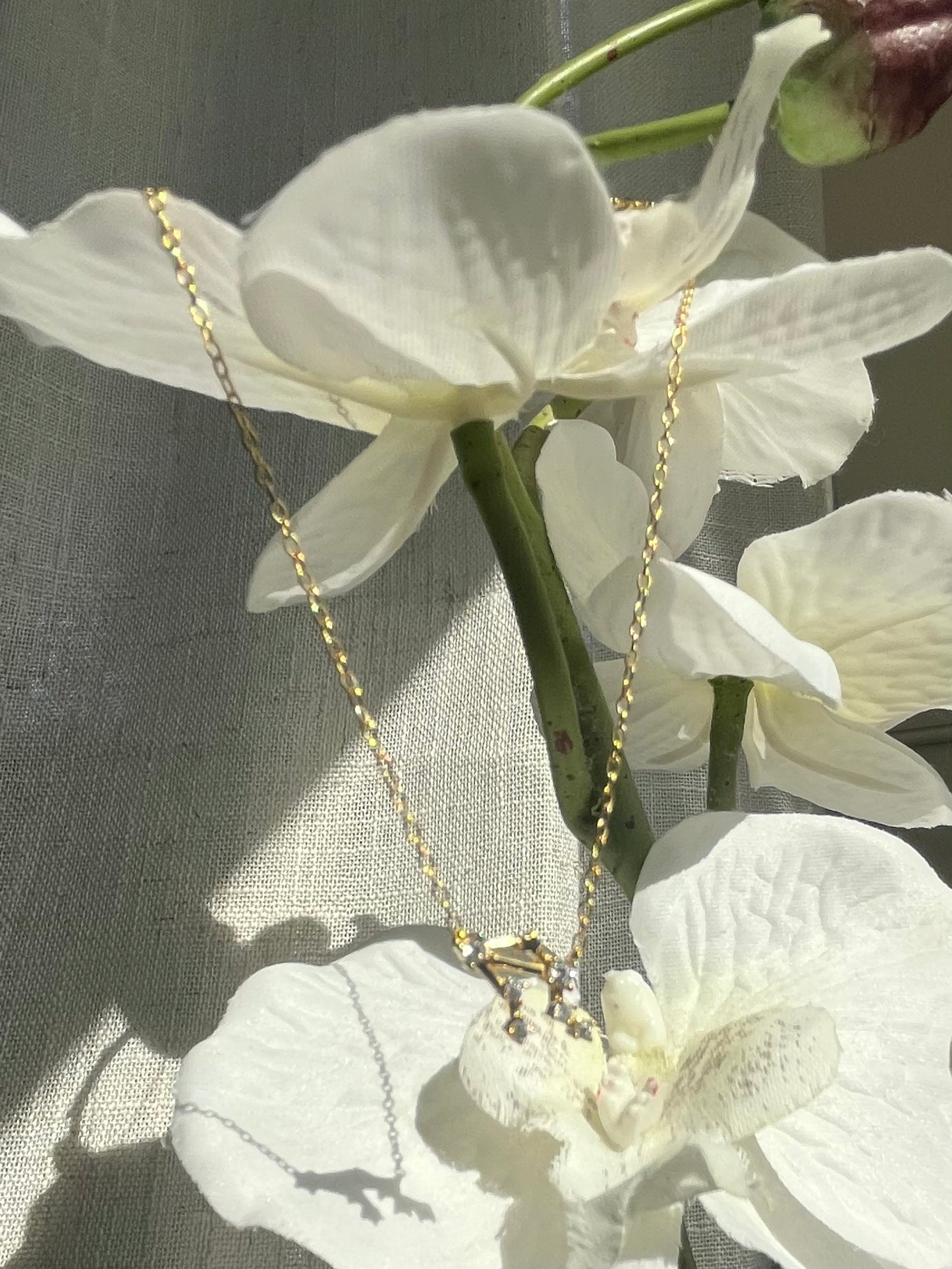 Gold Plated 925 Sterling Silver Zodiac Constellation Necklace