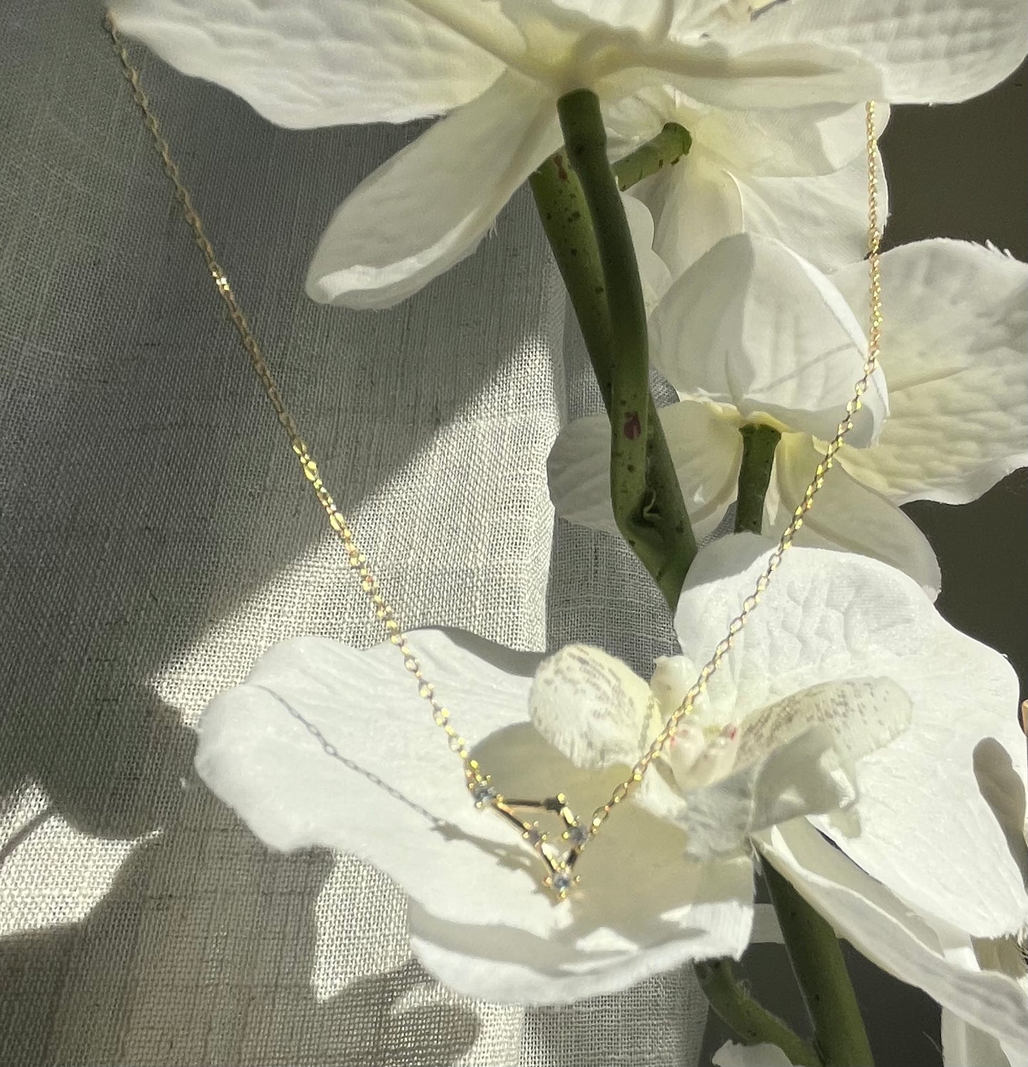 Gold Plated 925 Sterling Silver Zodiac Constellation Necklace