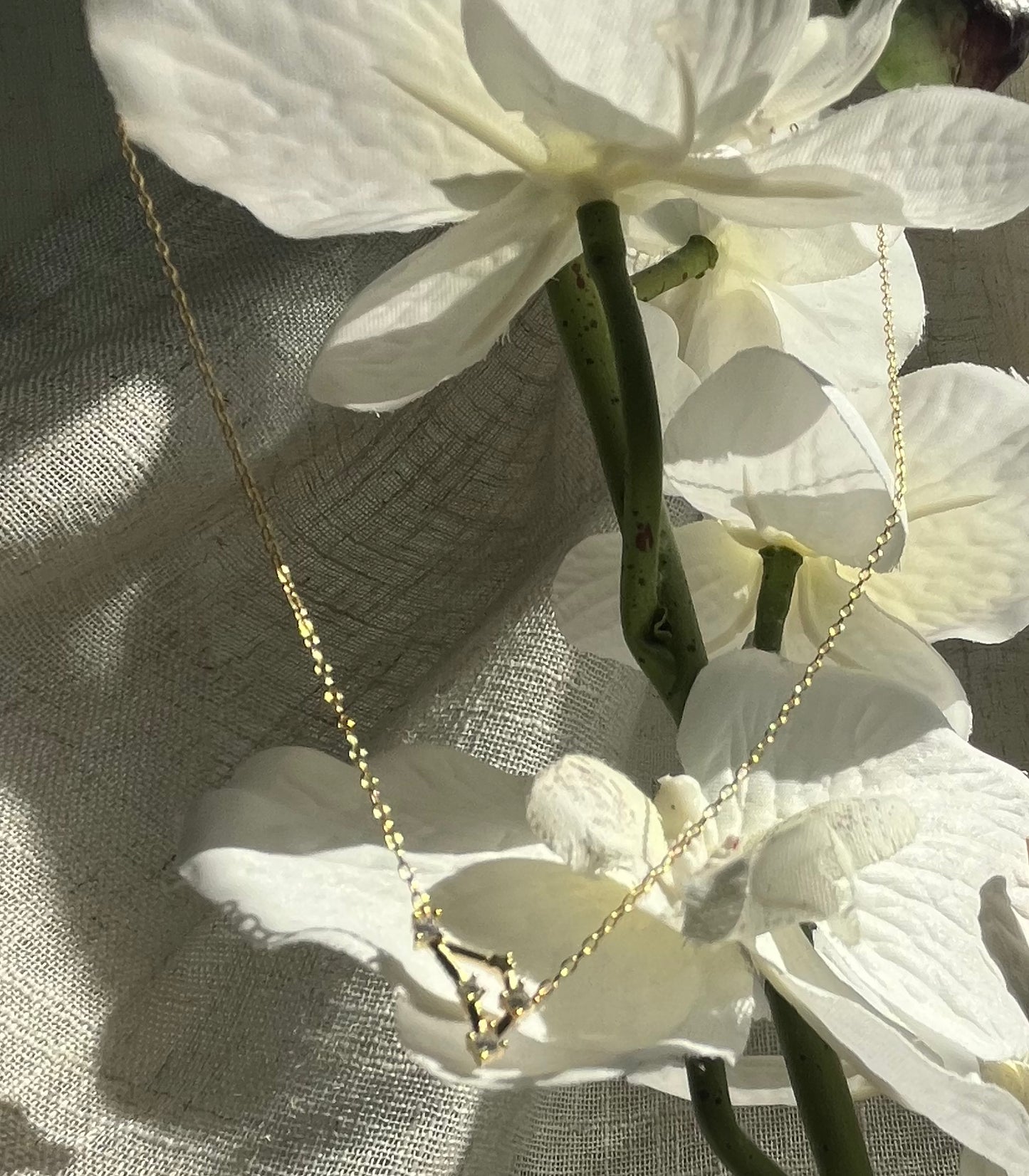 Gold Plated 925 Sterling Silver Zodiac Constellation Necklace